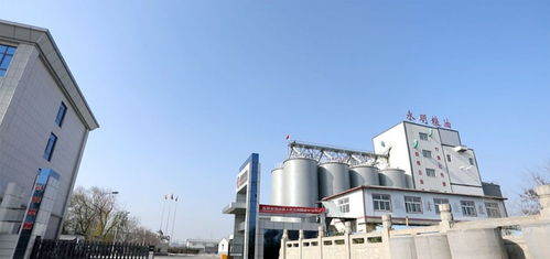 山東永明糧油擬在魯西南建設大型多功能面粉廠，助力區域農業經濟高質量發展